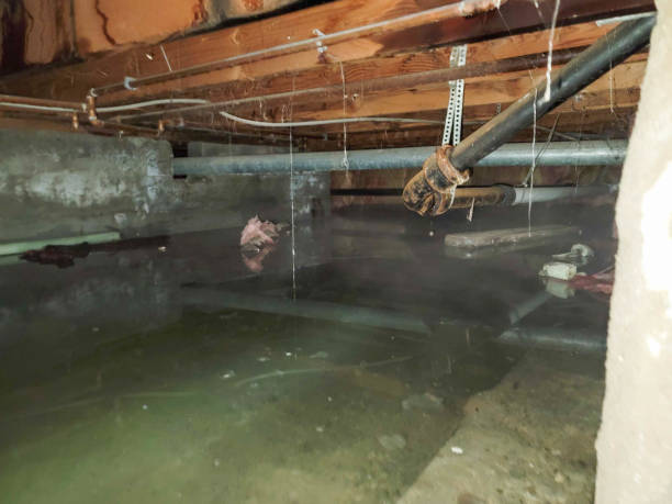 Fire Damage Restoration in Pemberwick, CT
