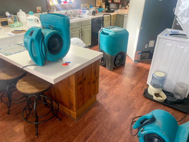 Best Emergency water damage restoration  in Pemberwick, CT