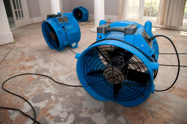 Water damage restoration experts in Pemberwick, CT