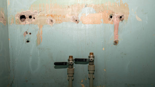 Best Flood restoration services  in Pemberwick, CT