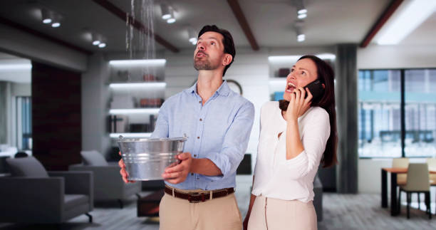 Best Water damage restoration near me  in Pemberwick, CT