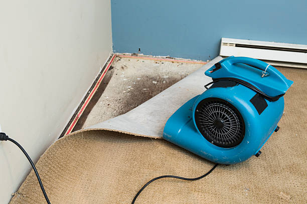 Best Ceiling water damage repair  in Pemberwick, CT